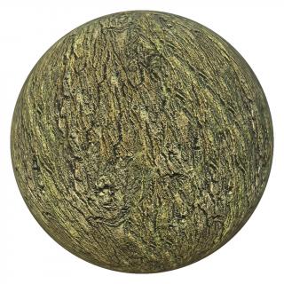 PBR texture wood tree bark 4K